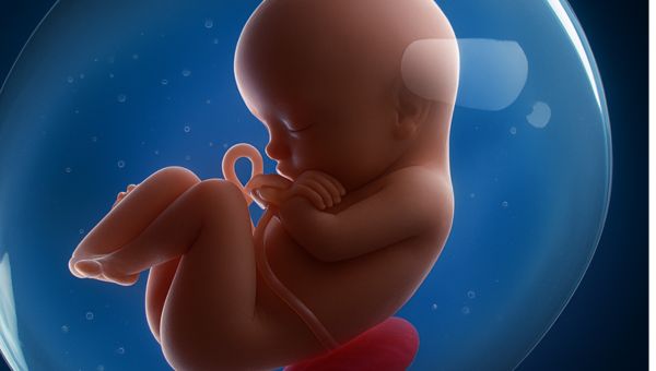 Image20260313-FetalFraction